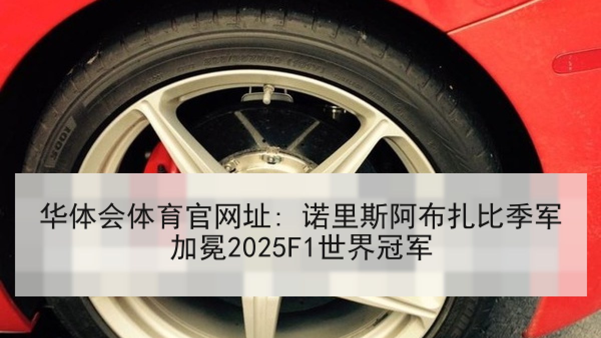 华体会体育官网址: 诺里斯阿布扎比季军加冕2025F1世界冠军